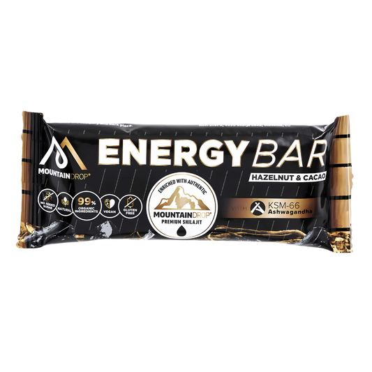Shilajit Energy Bar 15x45g
